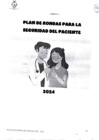 Vista preliminar de documento PLAN DE RONDAS PARA LA SEGURIDAD DEL PACIENTE
