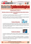 Vista preliminar de documento Boletín Nº01-2021