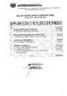 Vista preliminar de documento Saldos de Balance - 2022