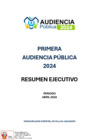 Vista preliminar de documento Publicación del Resumen Ejecutivo de la Primera Audiencia Pública 2024