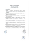 Vista preliminar de documento Sesión N° 991