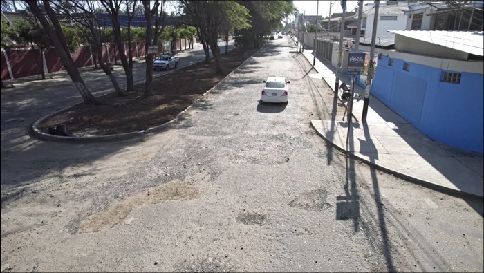 Las Palmeras