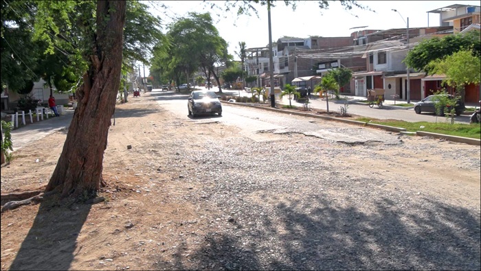 Av. Las Palmeras