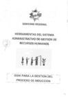 Vista preliminar de documento RGGR 271-2024 GUIA