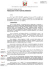 Vista preliminar de documento Plan Operativo institucional Multianual 2025-2027 Resolución 131