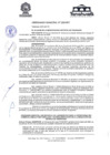 Vista preliminar de documento ordenanza 253-24