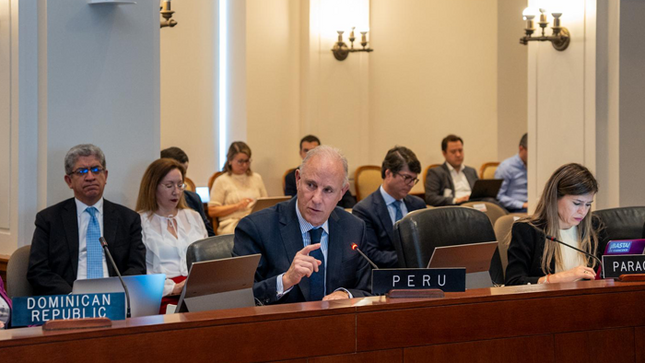 Perú presentó ante el Consejo Permanente de la OEA la candidatura de Alberto Borea a juez de la Corte IDH