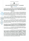 Vista preliminar de documento rgm3272023gmampmn