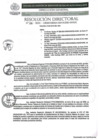Vista preliminar de documento Resolución plan de Autoevaluación Red 