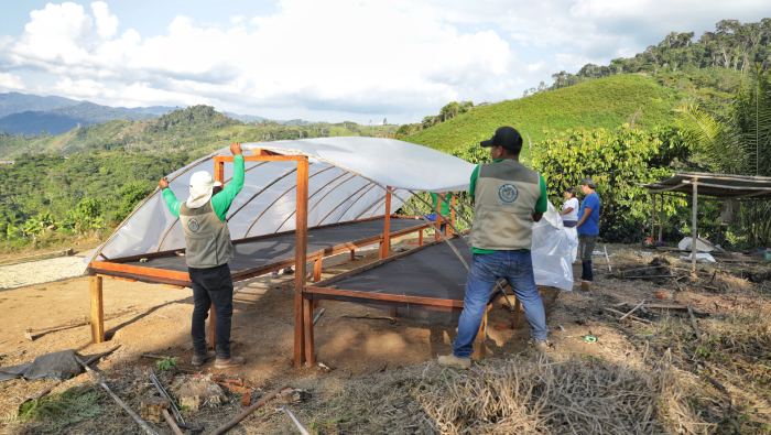 Vraem: Devida implementó secadores solares para garantizar calidad de café en 500 kilos
