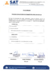 Vista preliminar de documento FeDeErratas_CAS_003-2024-SATJLO