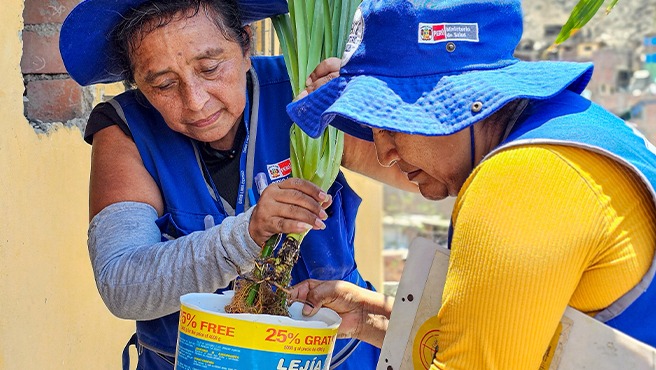 Agentes Comunitarios intervendrán más de 260 000 viviendas para impedir el ciclo de vida del zancudo que transmite el dengue