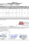 Vista preliminar de documento 223.1. ANEXO 1 - RD N° 223-2024-PNVR Informe de liquidación final