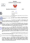 Vista preliminar de documento Resolucion Directoral N° 003523-2024