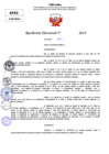 Vista preliminar de documento Resolucion Directoral N° 003524-2024