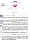 Vista preliminar de documento Resolucion Directoral N° 003525-2024