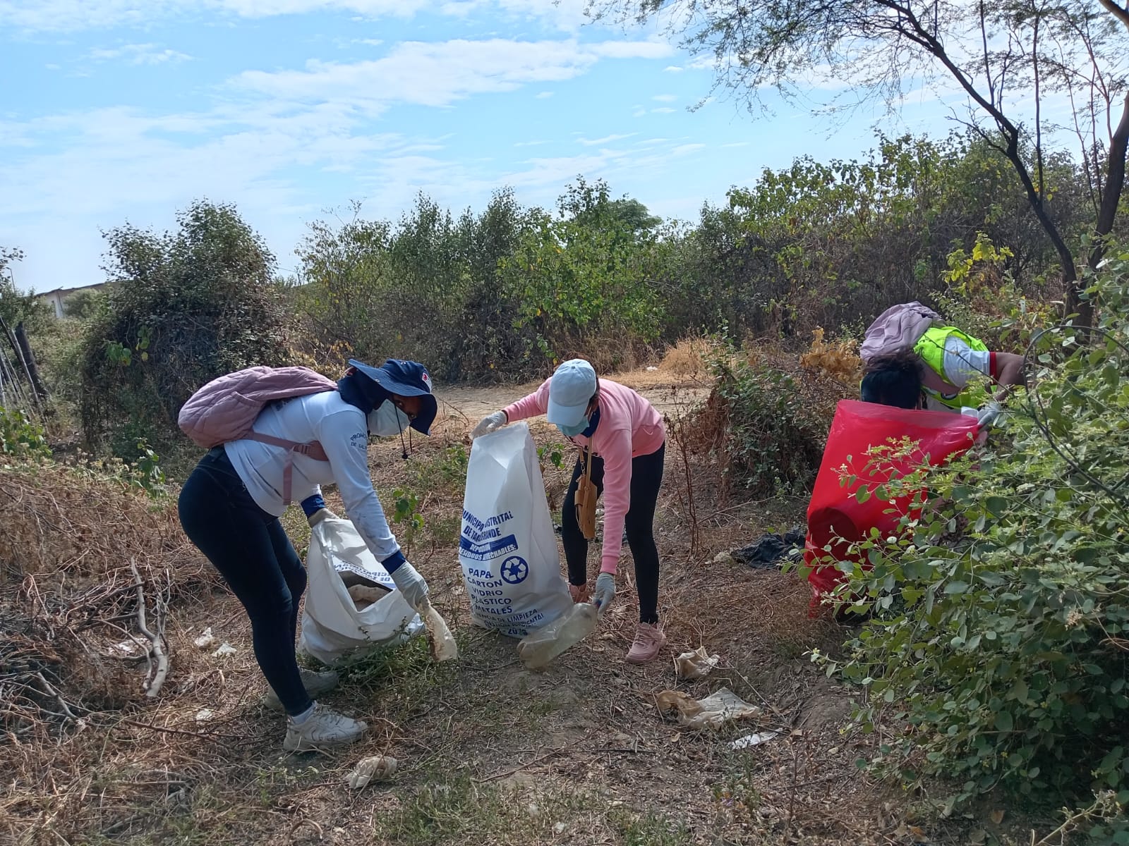 Salud elimina criaderos de zancudos en dos toneladas de basura