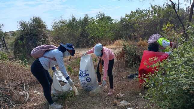 Salud elimina criaderos de zancudos en dos toneladas de basura 
