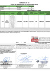 Vista preliminar de documento 224.1. ANEXO 1 - RD N° 224-2024-PNVR Informe de liquidación final