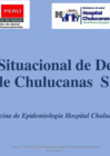 Vista preliminar de documento -Sala Situacional DENGUE_SE172024