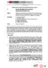 Vista preliminar de documento 228.2. ANEXO 2 - RD N° 228-2024-PNVR Informe de liquidación final