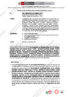 Vista preliminar de documento 233.2. ANEXO 2 - RD N° 233-2024-PNVR Informe de liquidación final