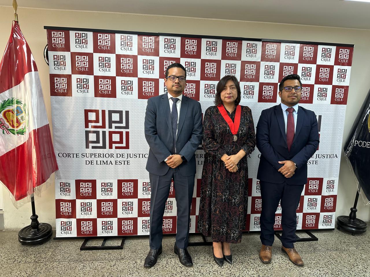 Equipo consultor del Programa EJE No Penal y presidenta de la CSJ Lima Este