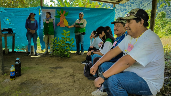 Familias participan de escuelas de campo para mejorar producción de cacao en Puno, Cusco y Madre de Dios