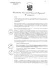 Vista preliminar de documento RGGR 274-2024