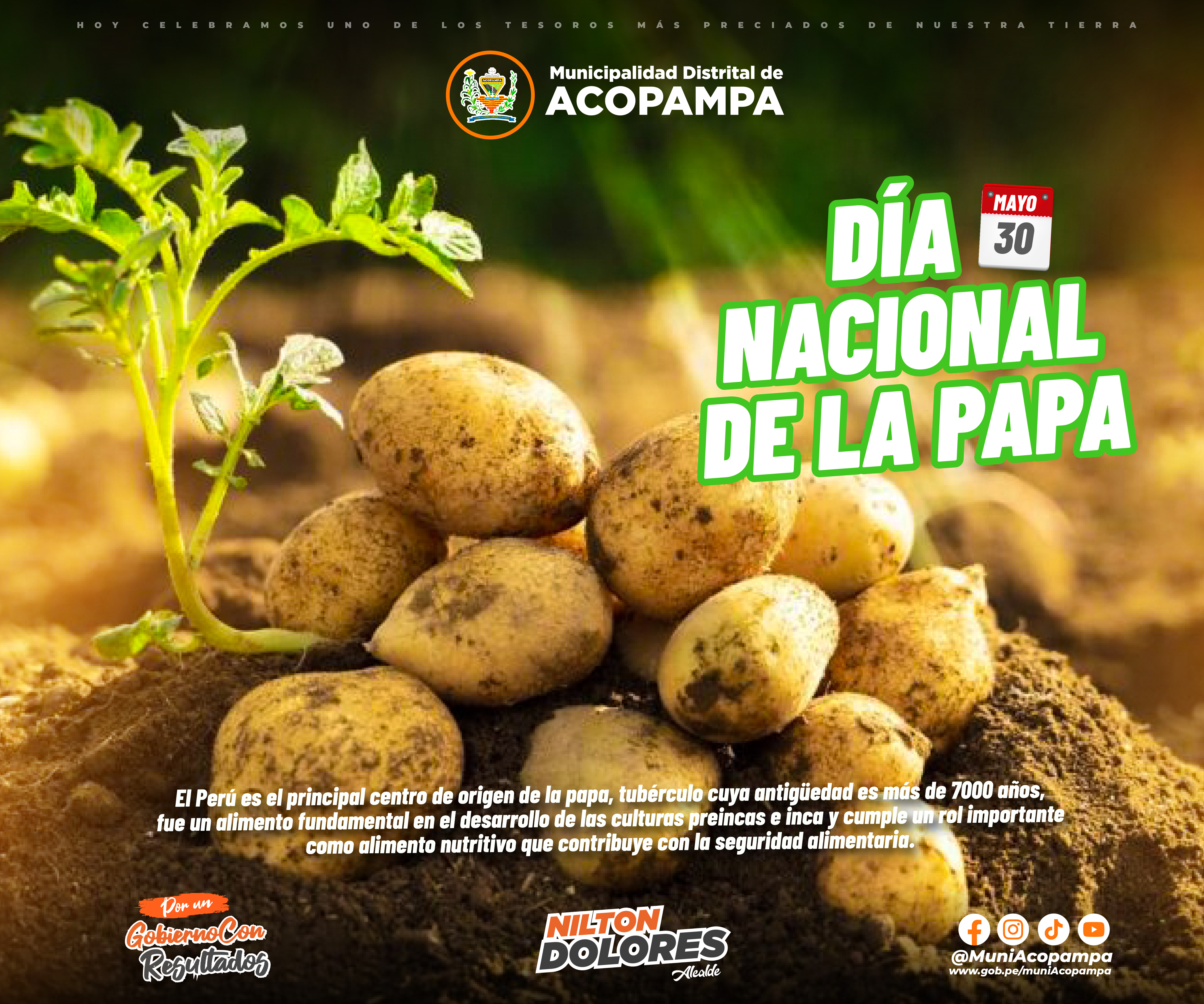 Dia Nacional de la Papa