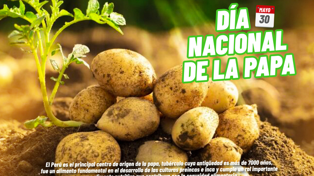 Dia Nacional de la Papa