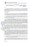 Vista preliminar de documento RG. 000490-2024-GSATDE