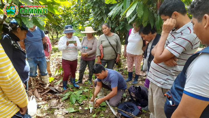 Éxito en el Taller de Injertos y Podas de Cacao en Camanti