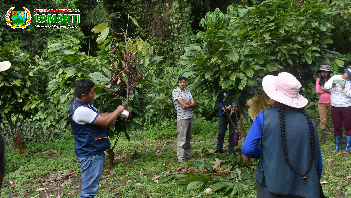 Éxito en el Taller de Injertos y Podas de Cacao en Camanti