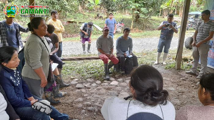 Éxito en el Taller de Injertos y Podas de Cacao en Camanti