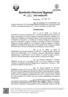 Vista preliminar de documento RDR Nº 1655-2024-GRSM-DRE