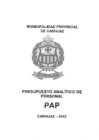 Vista preliminar de documento PAP