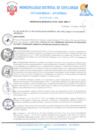 Vista preliminar de documento Ordenanza Municipal Nº04-2024-MDCC