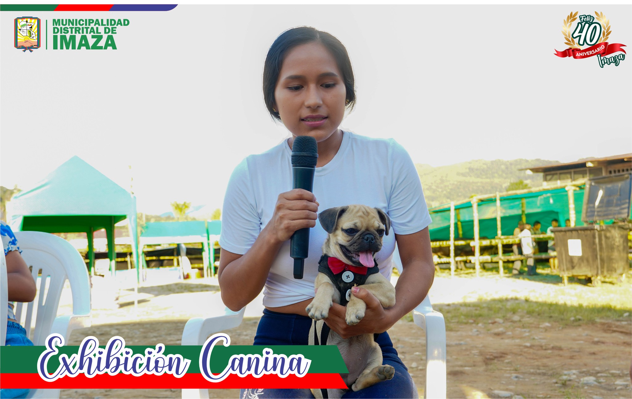 Concurso de canes