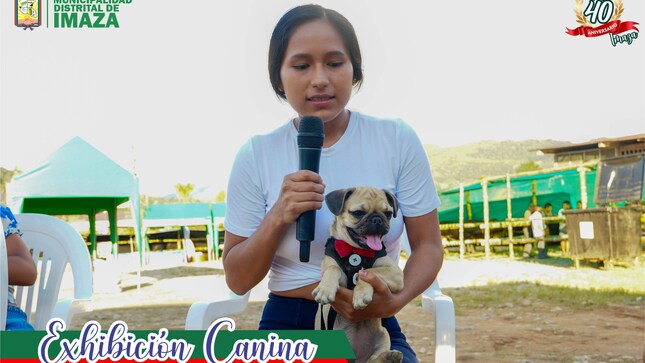 Concurso de canes
