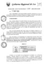 Vista preliminar de documento rer-290-2024-gore-ica-gr