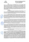 Vista preliminar de documento RGR GRI N° 117-2024