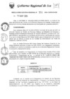 Vista preliminar de documento rer-291-2024-gore-ica-gr