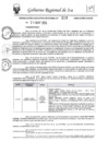 Vista preliminar de documento rer-319-2024-gore-ica-gr