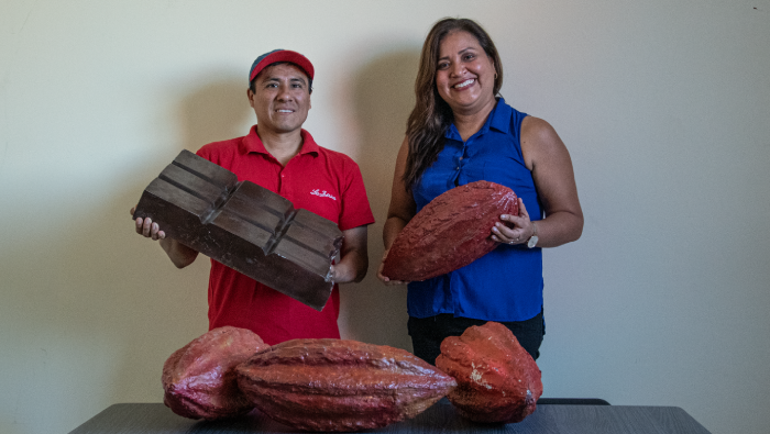Ucayali: Cooperativas promovidas por Devida venderán 40 toneladas de cacao a empresa chocolatera