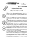 Vista preliminar de documento R.D.N.163-2024-INSN-DG