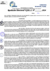 Vista preliminar de documento Resolucion Directoral N° 003546-2024