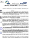 Vista preliminar de documento Resolucion Directoral N° 003547-2024