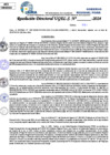 Vista preliminar de documento Resolucion Directoral N° 003552-2024