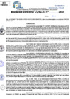 Vista preliminar de documento Resolucion Directoral N° 003553-2024